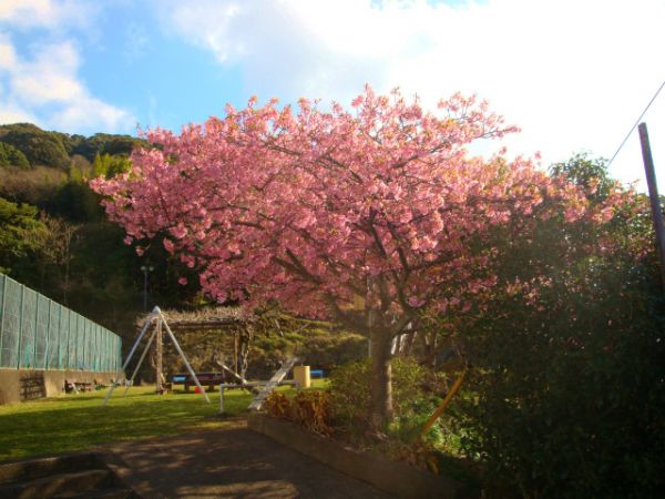下佐ヶ野公園