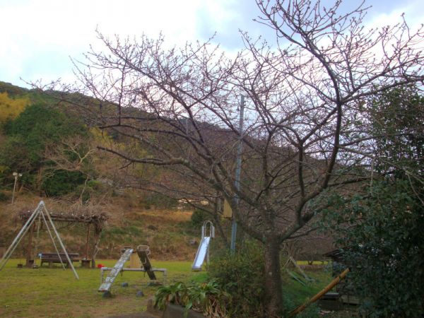 下佐ヶ野公園