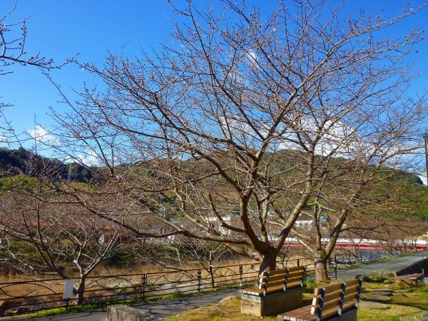 沢田　涅槃堂駐車場