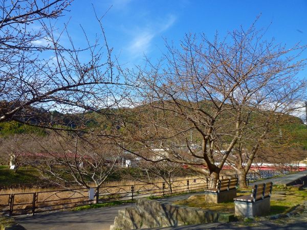 沢田　涅槃堂駐車場