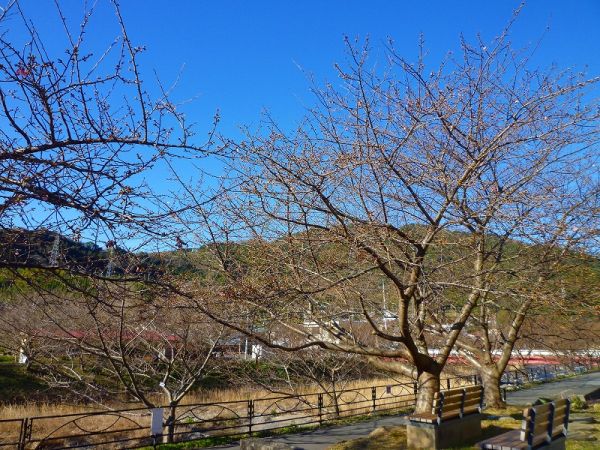 沢田　涅槃堂駐車場