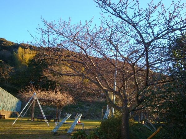 下佐ヶ野公園