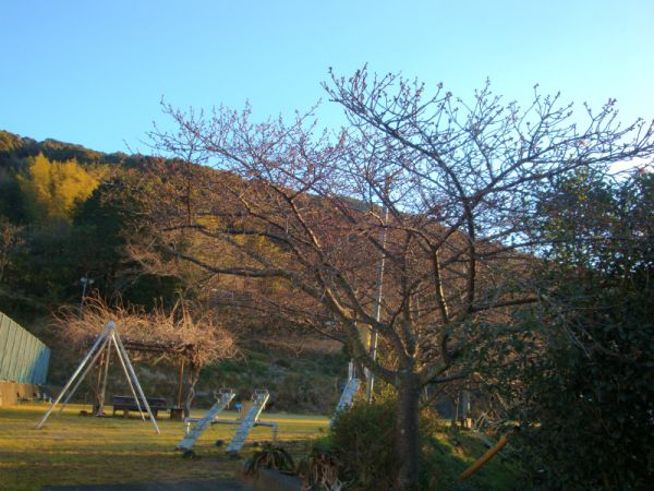 下佐ヶ野公園