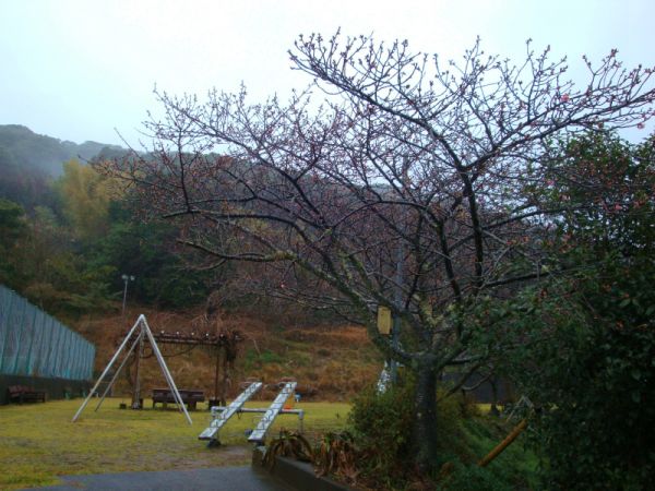 下佐ヶ野公園