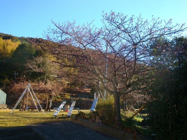 下佐ヶ野公園