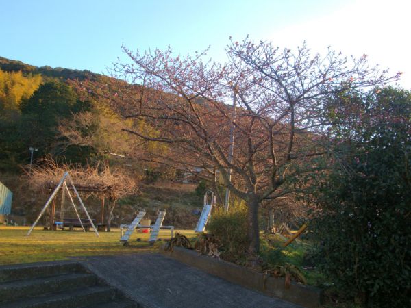 下佐ヶ野公園