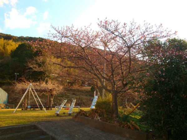 下佐ヶ野公園