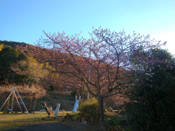 下佐ヶ野公園