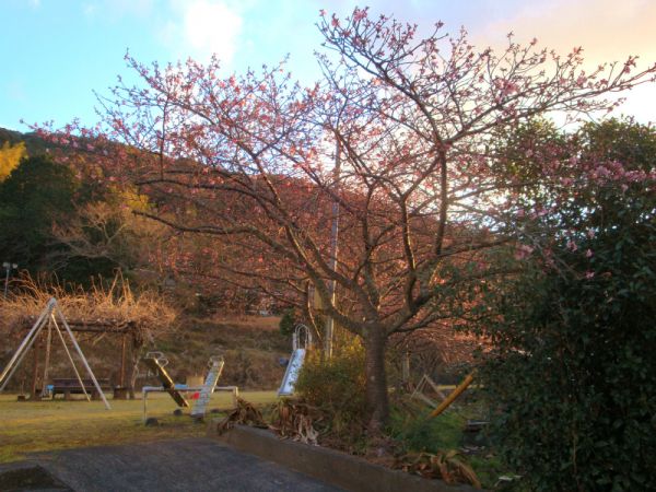 下佐ヶ野公園