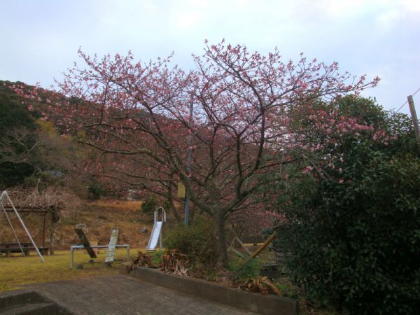 下佐ヶ野公園