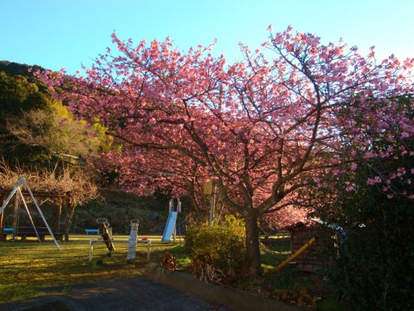 下佐ヶ野公園