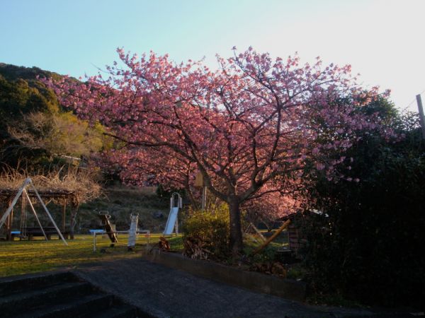 下佐ヶ野公園