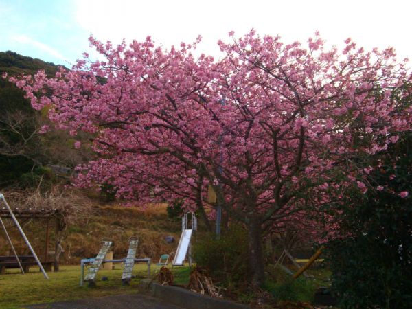 下佐ヶ野公園