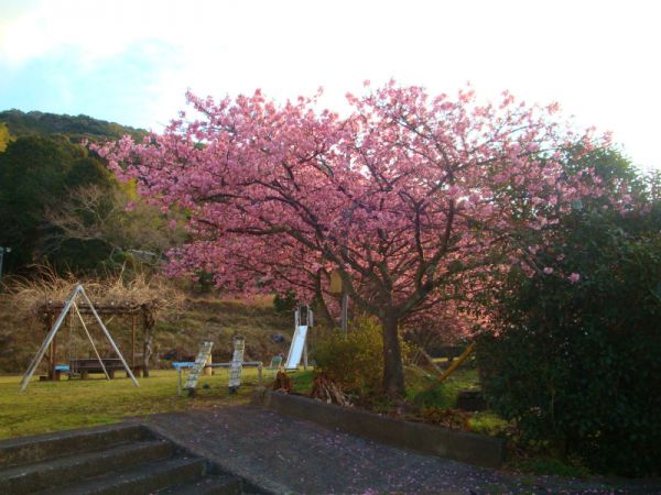下佐ヶ野公園
