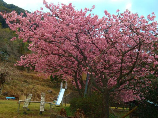 下佐ヶ野公園