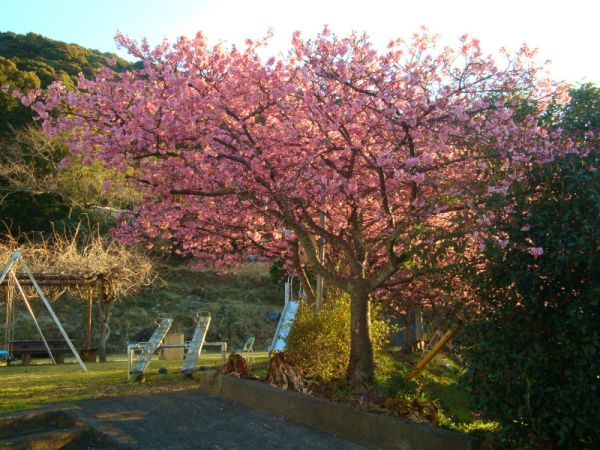 下佐ヶ野公園