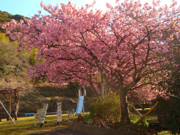 下佐ヶ野公園