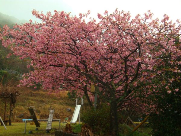 下佐ヶ野公園