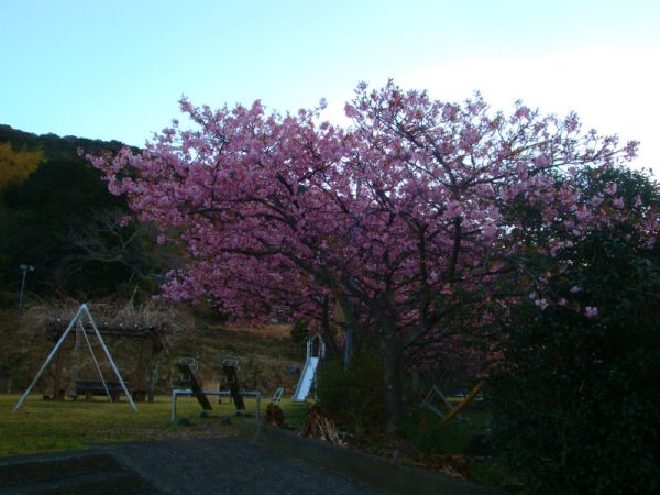 下佐ヶ野公園