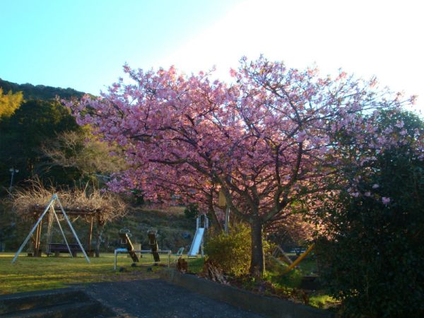 下佐ヶ野公園