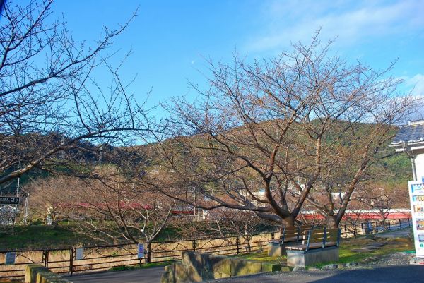 沢田　涅槃堂駐車場
