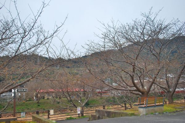 沢田涅槃堂駐車場