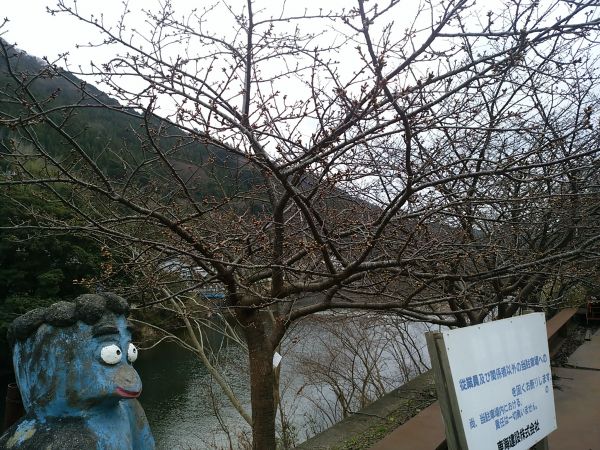 大堰　かっぱ橋