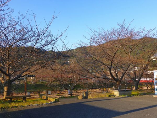 沢田涅槃堂駐車場