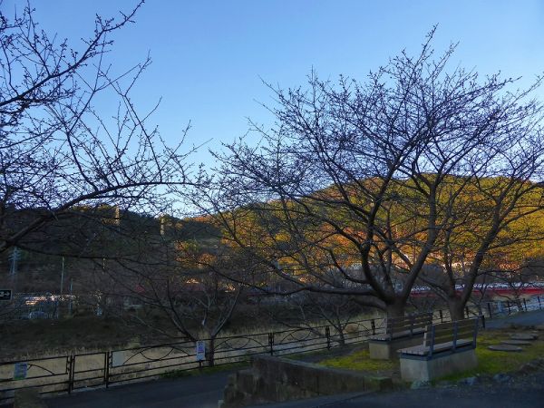 沢田涅槃堂駐車場