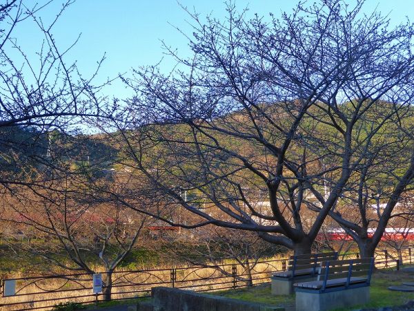 沢田涅槃堂駐車場