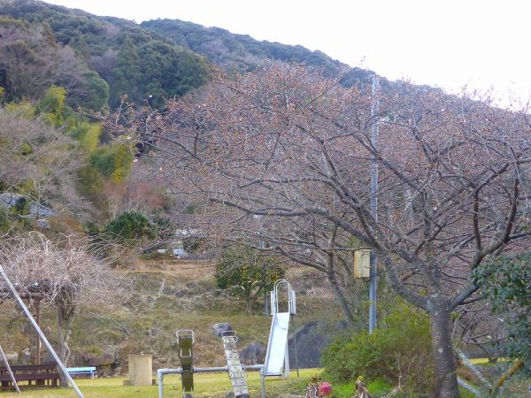 下佐ヶ野公園