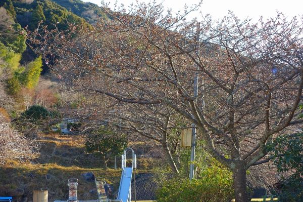 下佐ヶ野公園