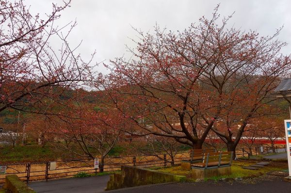 沢田涅槃堂駐車場