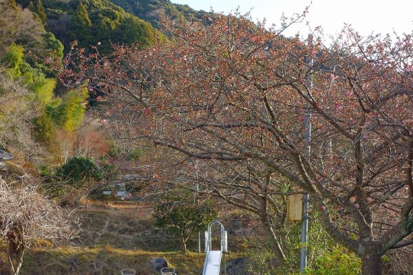下佐ヶ野公園