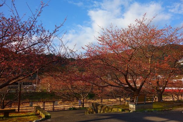 沢田涅槃堂駐車場