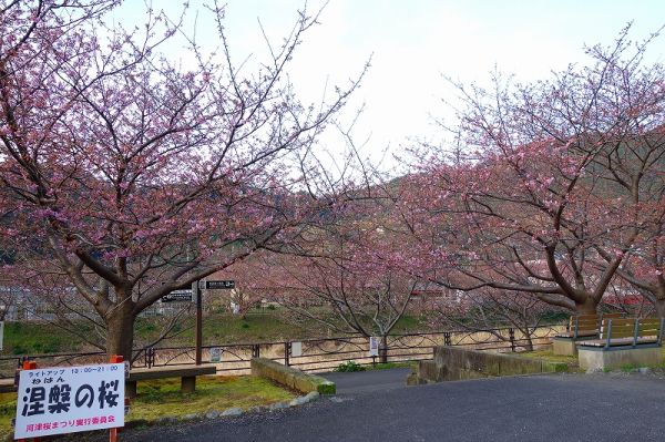 沢田涅槃堂駐車場