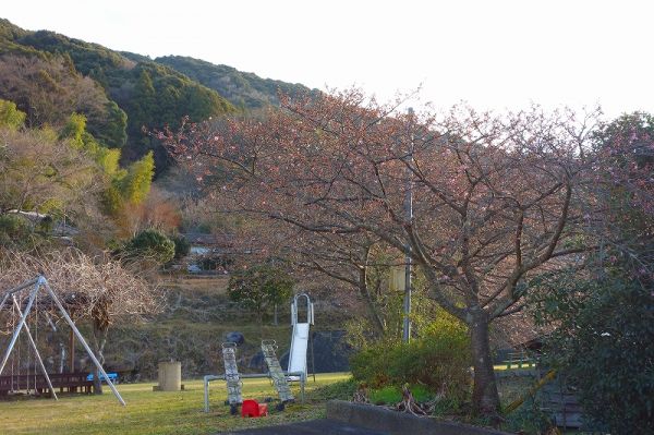 下佐ヶ野公園