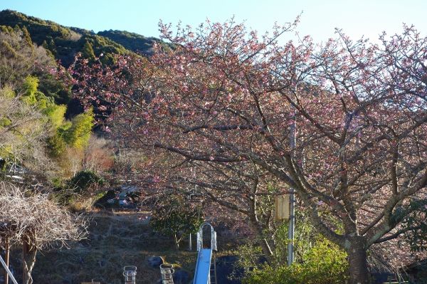 下佐ヶ野公園