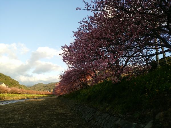 田中親水園地付近