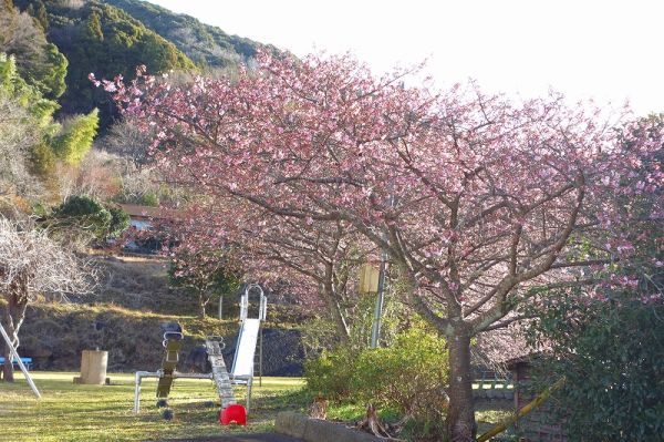 下佐ヶ野公園