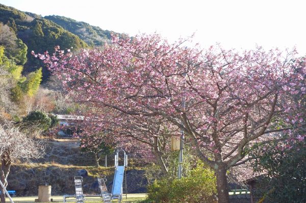 下佐ヶ野公園