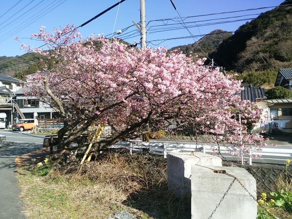 大堰　かっぱ橋