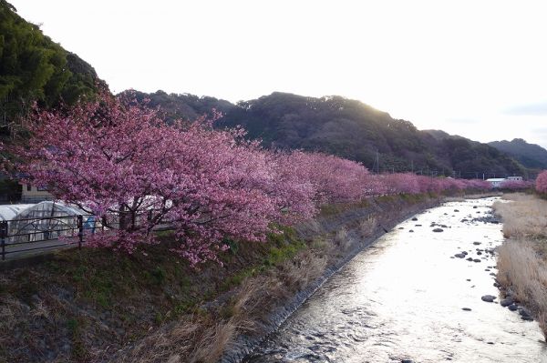 沢田地区川沿い