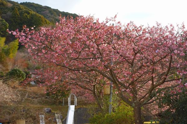 下佐ヶ野公園