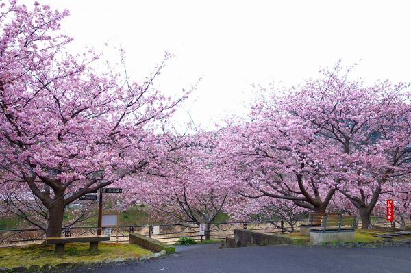 沢田涅槃堂駐車場