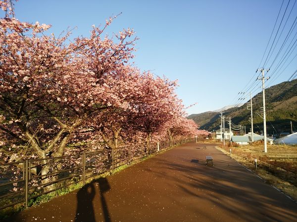 田中親水園地付近