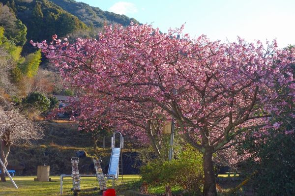 下佐ヶ野公園