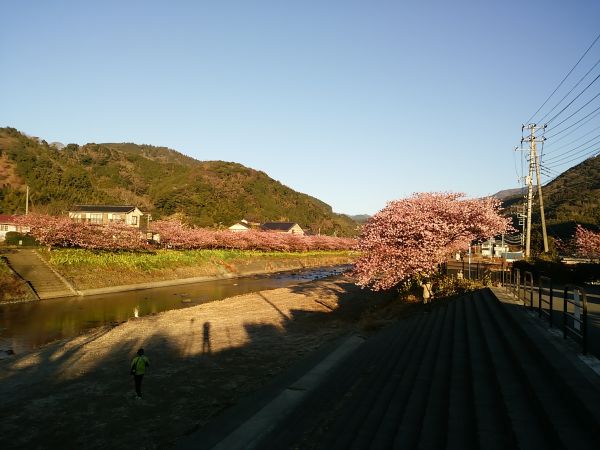 田中親水園地付近