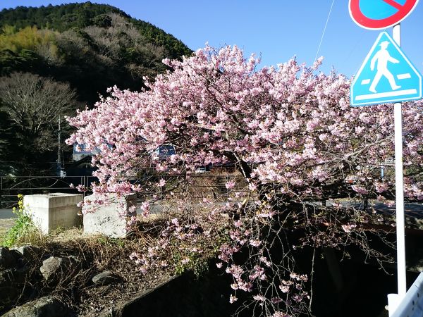大堰　かっぱ橋
