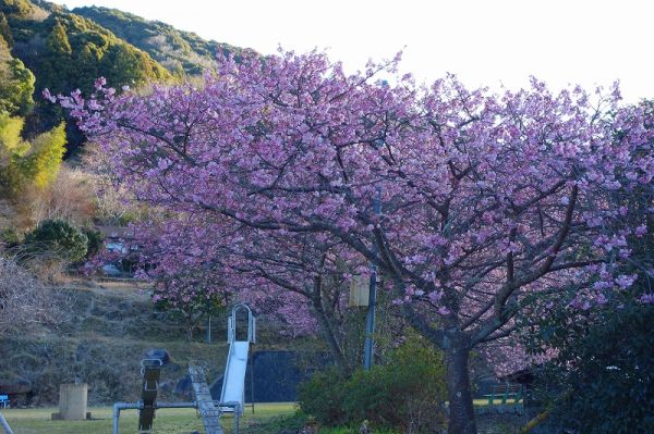下佐ヶ野公園